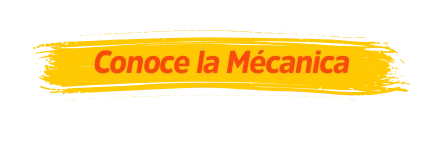 Conoce la mecánica